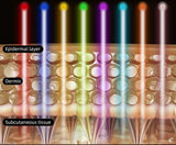 The Abraza LED Light Therapy Mask