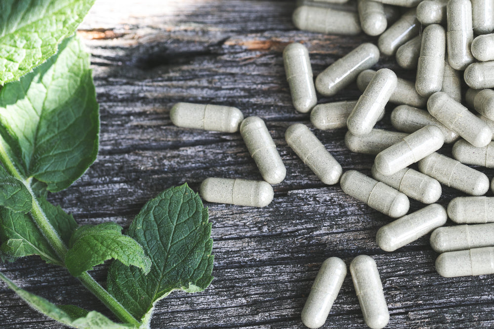 SUPPLEMENTS & ACCESSORIES